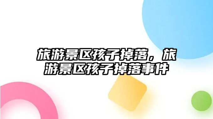 旅游景區孩子掉落，旅游景區孩子掉落事件