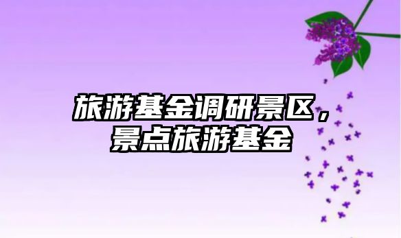 旅游基金調研景區，景點旅游基金