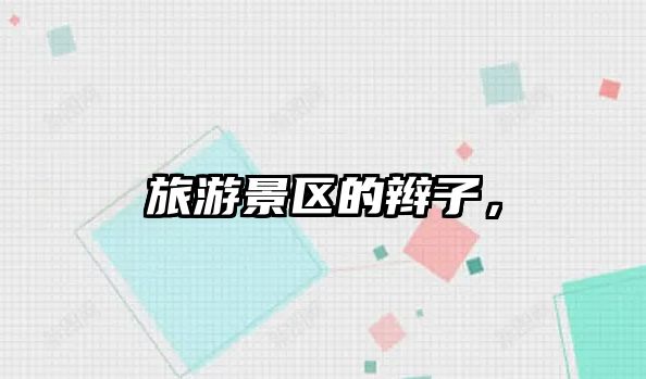 旅游景區(qū)的辮子，