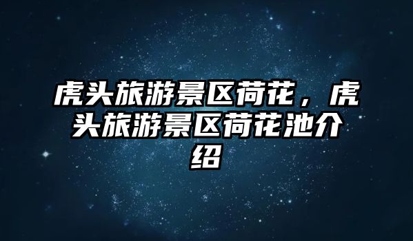虎頭旅游景區(qū)荷花，虎頭旅游景區(qū)荷花池介紹