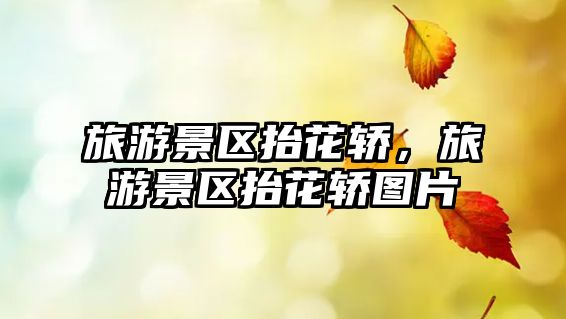 旅游景區抬花轎，旅游景區抬花轎圖片