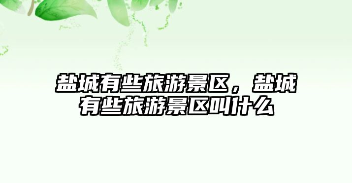 鹽城有些旅游景區，鹽城有些旅游景區叫什么