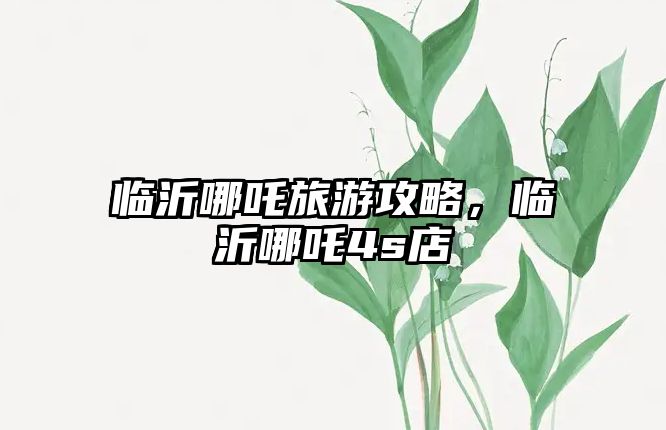 臨沂哪吒旅游攻略，臨沂哪吒4s店