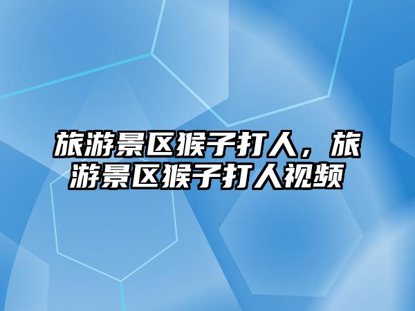 旅游景區(qū)猴子打人，旅游景區(qū)猴子打人視頻