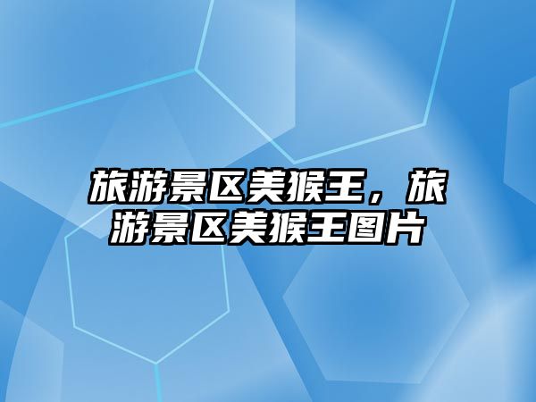 旅游景區(qū)美猴王，旅游景區(qū)美猴王圖片