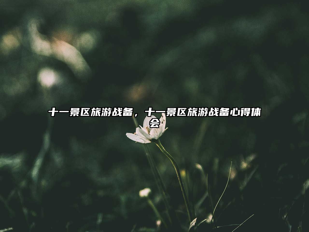 十一景區旅游戰備，十一景區旅游戰備心得體會
