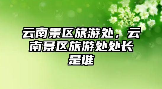 云南景區(qū)旅游處，云南景區(qū)旅游處處長(zhǎng)是誰(shuí)