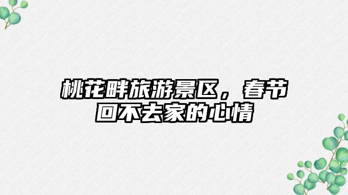 桃花畔旅游景區，春節回不去家的心情