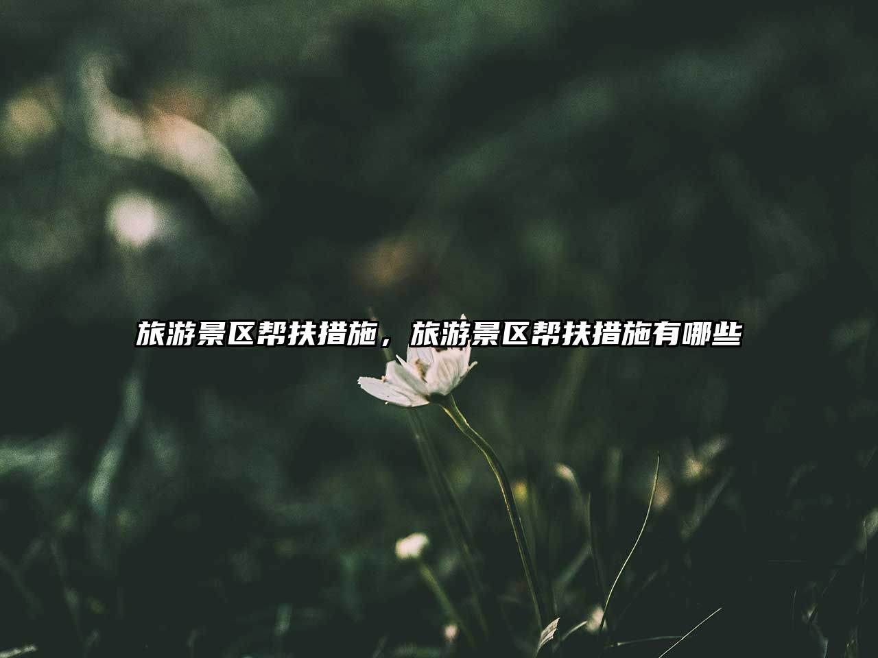 旅游景區幫扶措施，旅游景區幫扶措施有哪些