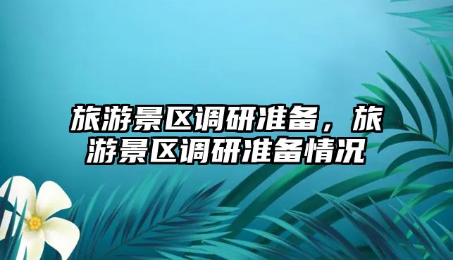 旅游景區調研準備，旅游景區調研準備情況
