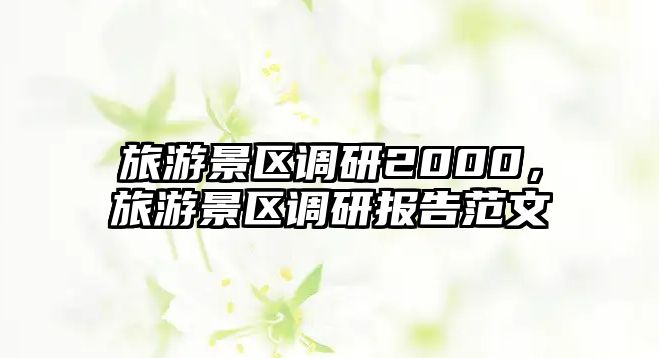 旅游景區調研2000，旅游景區調研報告范文