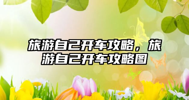 旅游自己開車攻略，旅游自己開車攻略圖