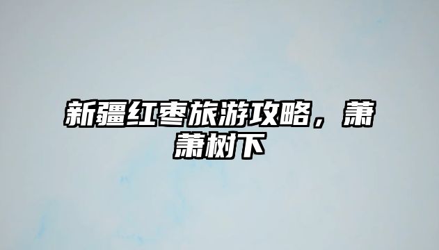 新疆紅棗旅游攻略，蕭蕭樹下