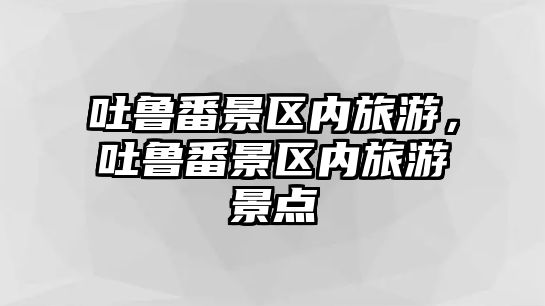 吐魯番景區(qū)內旅游，吐魯番景區(qū)內旅游景點