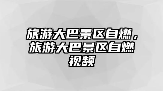 旅游大巴景區自燃，旅游大巴景區自燃視頻
