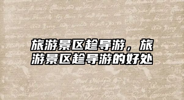 旅游景區趁導游，旅游景區趁導游的好處