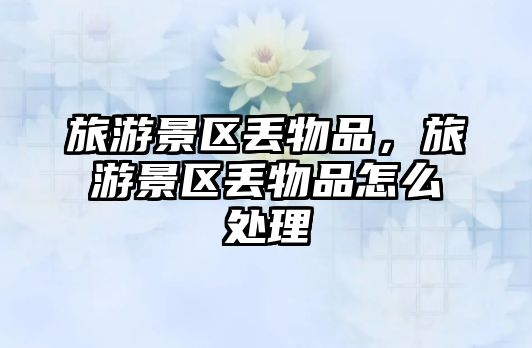 旅游景區丟物品，旅游景區丟物品怎么處理