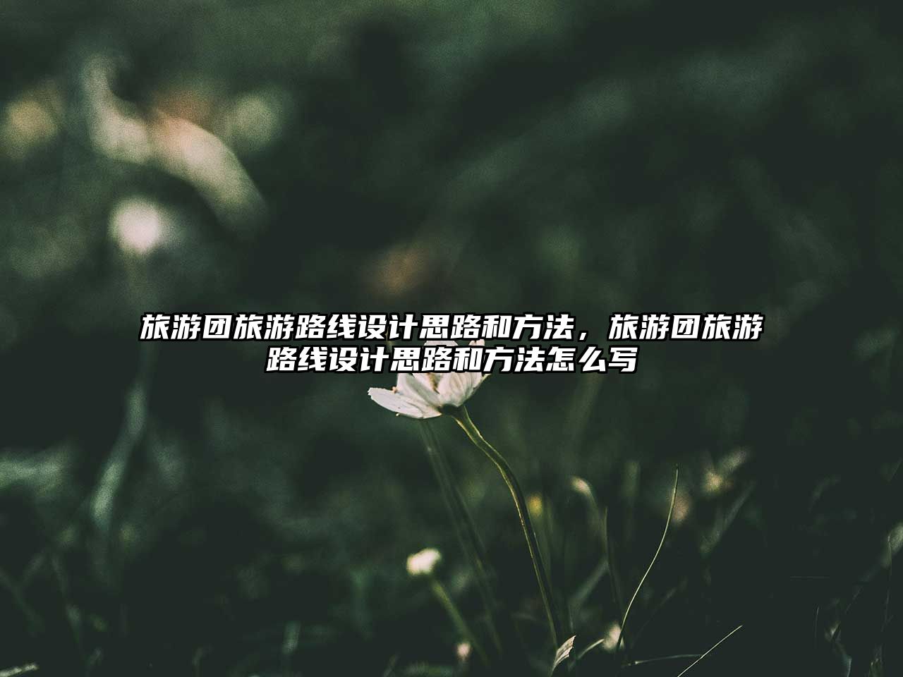 旅游團旅游路線設計思路和方法，旅游團旅游路線設計思路和方法怎么寫