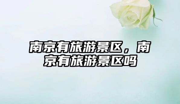 南京有旅游景區(qū)，南京有旅游景區(qū)嗎