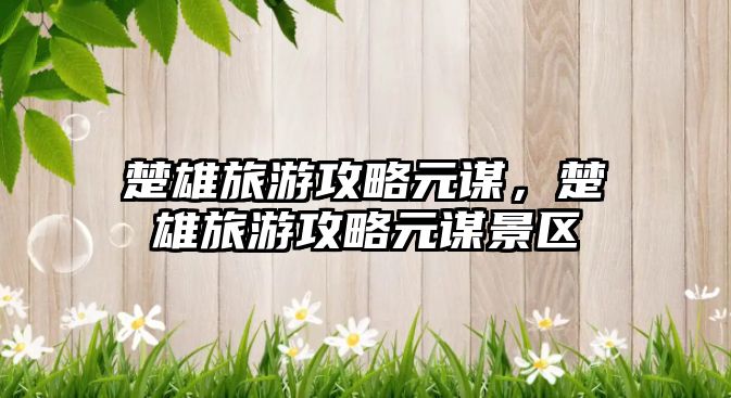 楚雄旅游攻略元謀，楚雄旅游攻略元謀景區