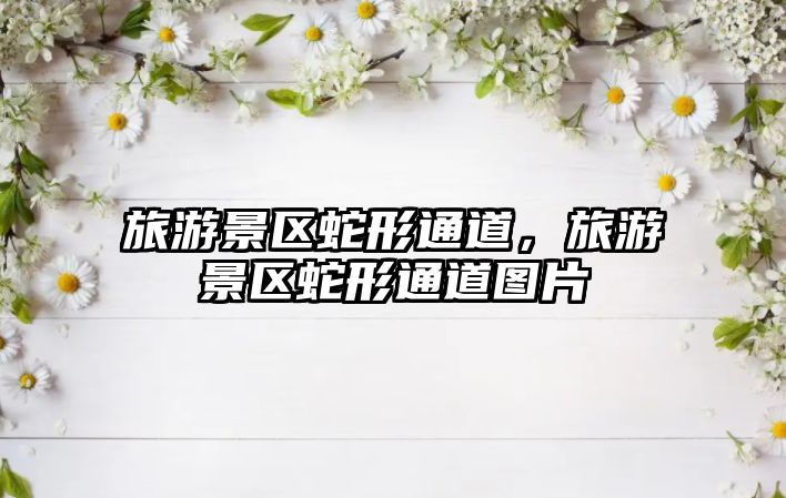 旅游景區蛇形通道，旅游景區蛇形通道圖片