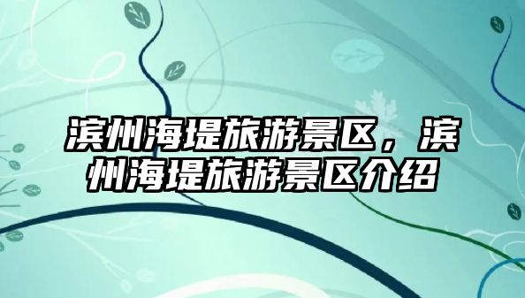 濱州海堤旅游景區，濱州海堤旅游景區介紹