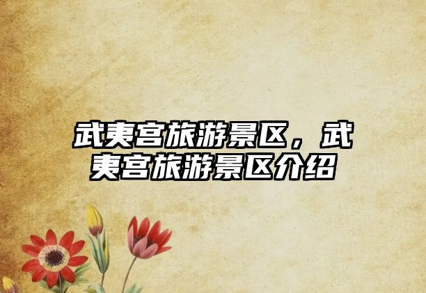 武夷宮旅游景區，武夷宮旅游景區介紹