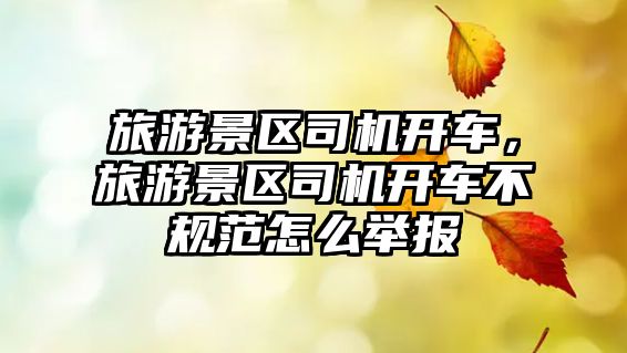 旅游景區司機開車，旅游景區司機開車不規范怎么舉報