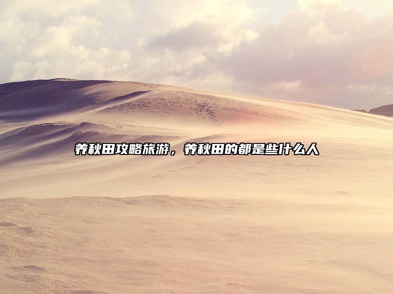 養秋田攻略旅游，養秋田的都是些什么人