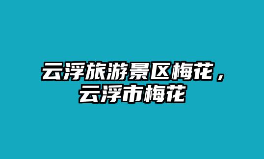 云浮旅游景區(qū)梅花，云浮市梅花