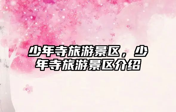 少年寺旅游景區，少年寺旅游景區介紹