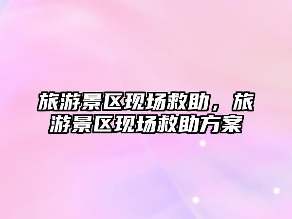 旅游景區現場救助，旅游景區現場救助方案