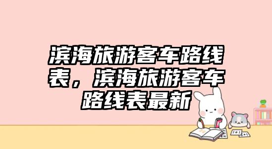 濱海旅游客車路線表，濱海旅游客車路線表最新