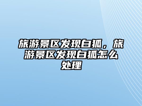 旅游景區發現白狐，旅游景區發現白狐怎么處理