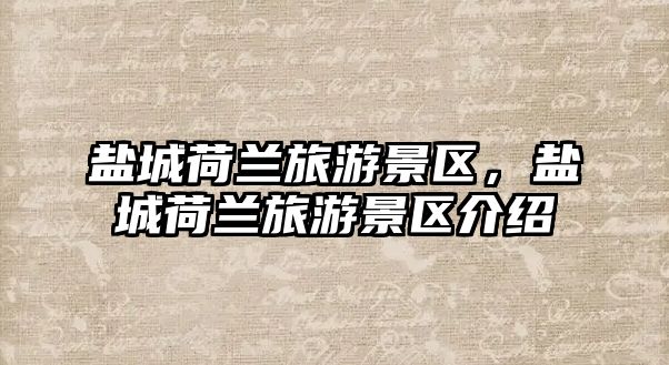 鹽城荷蘭旅游景區，鹽城荷蘭旅游景區介紹