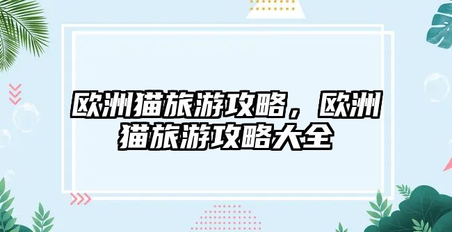 歐洲貓旅游攻略，歐洲貓旅游攻略大全