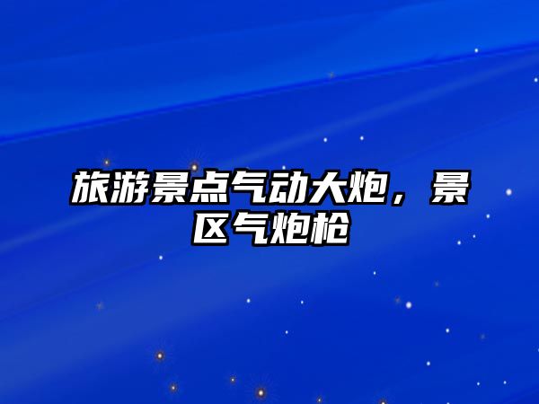 旅游景點氣動大炮，景區氣炮槍