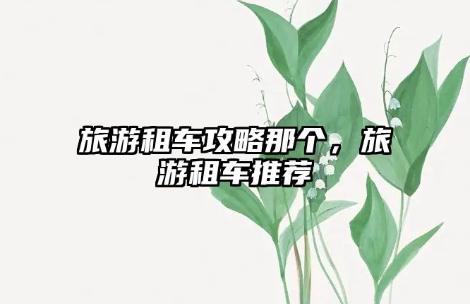 旅游租車攻略那個，旅游租車推薦