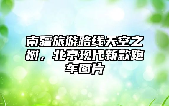 南疆旅游路線天空之樹，北京現代新款跑車圖片