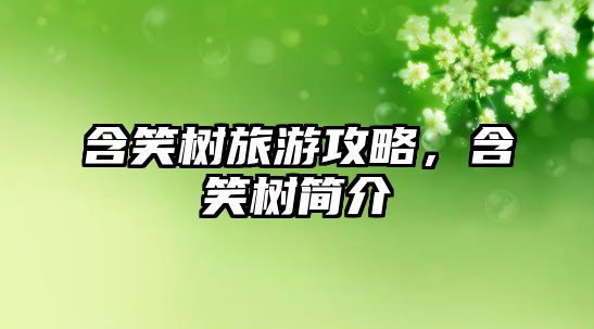 含笑樹旅游攻略，含笑樹簡介