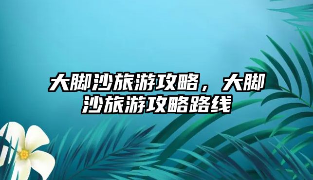 大腳沙旅游攻略，大腳沙旅游攻略路線