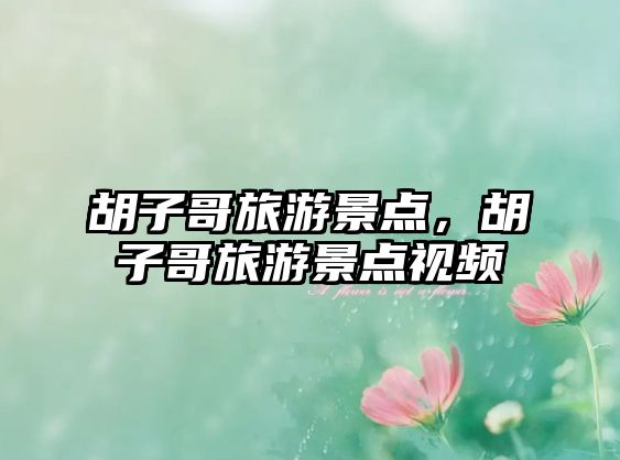 胡子哥旅游景點，胡子哥旅游景點視頻