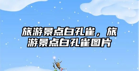旅游景點白孔雀，旅游景點白孔雀圖片
