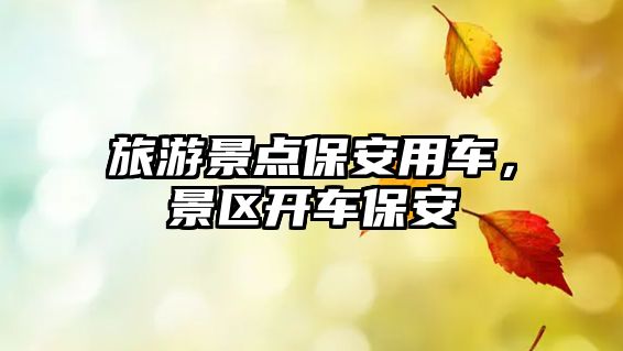 旅游景點(diǎn)保安用車(chē)，景區(qū)開(kāi)車(chē)保安