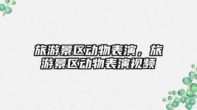 旅游景區動物表演，旅游景區動物表演視頻