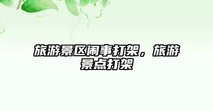 旅游景區鬧事打架，旅游景點打架
