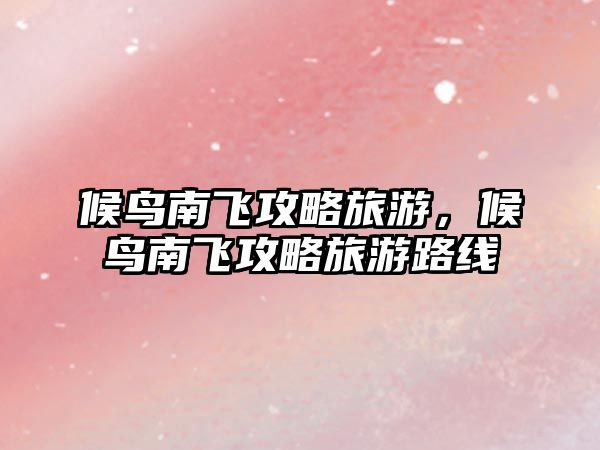 候鳥南飛攻略旅游，候鳥南飛攻略旅游路線
