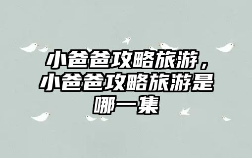 小爸爸攻略旅游，小爸爸攻略旅游是哪一集