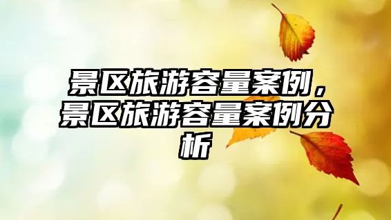 景區旅游容量案例，景區旅游容量案例分析
