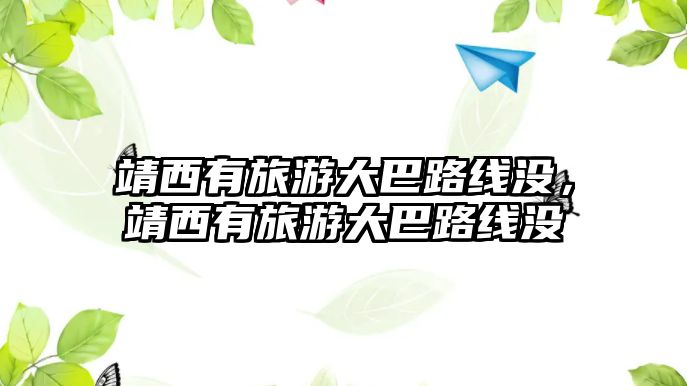 靖西有旅游大巴路線沒(méi)，靖西有旅游大巴路線沒(méi)